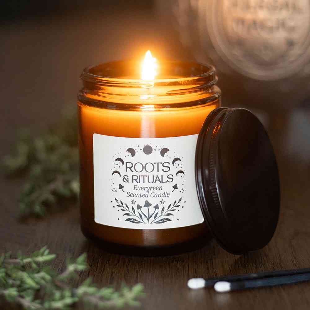 Something Different - Roots & Rituals Evergreen Amber Glass Scented Candle - Brown
